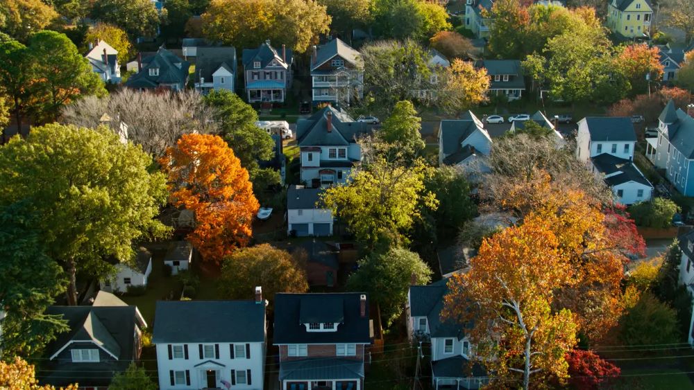Maximizing Success with Expert Property Portfolio Management